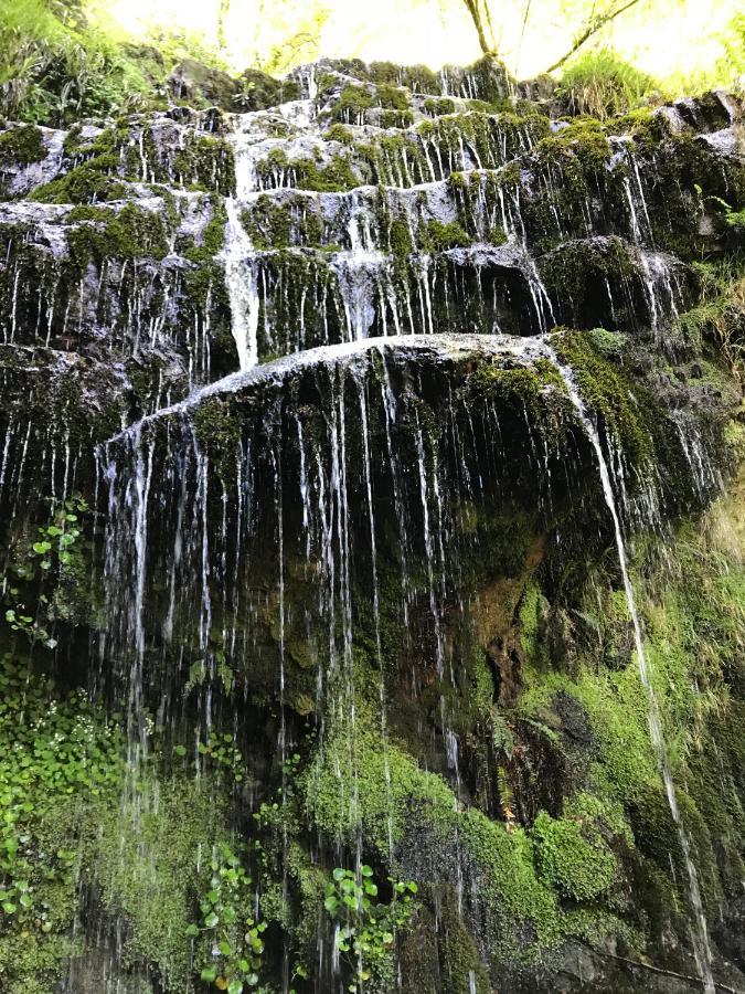 Apartamentos Cuatro Aguas Ucieda المظهر الخارجي الصورة